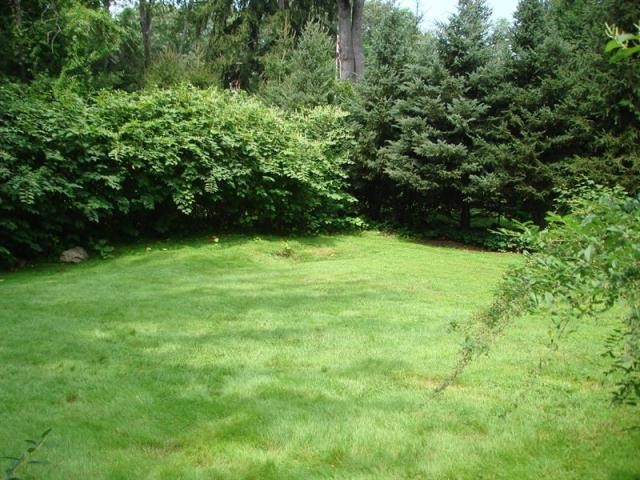 Land For Sale: Greenwich, Connecticut - 2