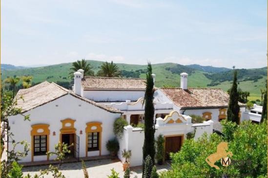 Magnificent equestrian property near..