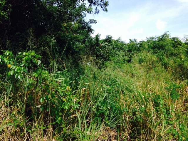 Singlefamilyvacant - On offer is a.. - 2