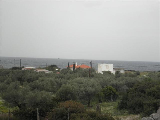 B112 - Plot in Peukoi, Rhodes island - 2