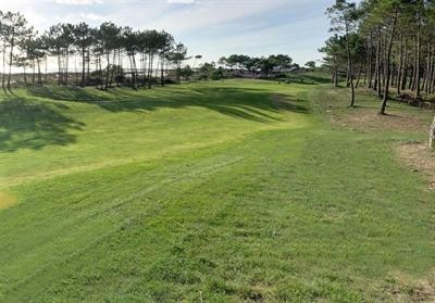 Site - 2