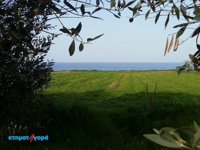 Residential Land in Neo Chorio, Pafos