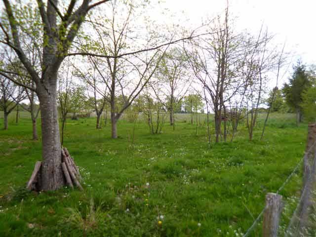 Land For Sale At Piegut-Pluviers, North.. - 2