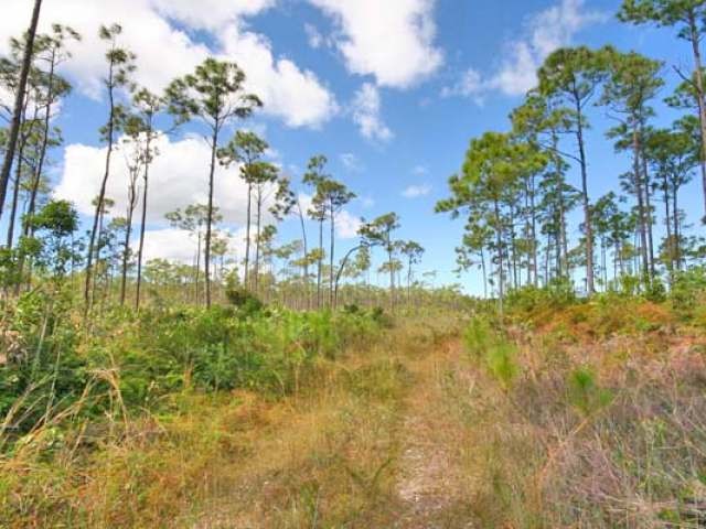Singlefamilyvacant - Located just off.. - 2