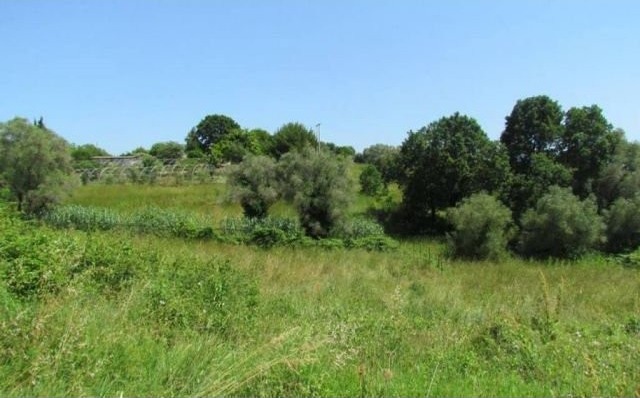 Sale Building land - Antibes - 2