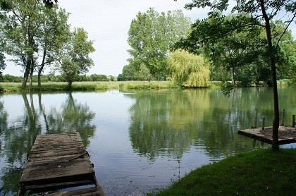 Great plot of mature, enclosed land on..