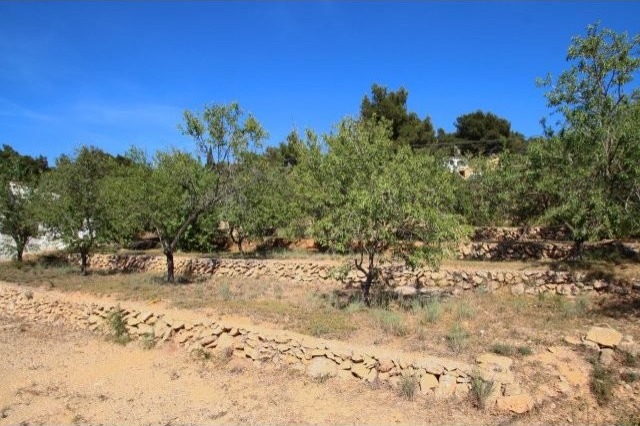Land - For Sale - 2