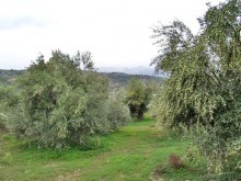 Crete Residential Land For Sale