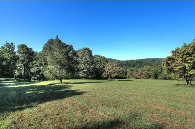 Land For Sale: 134 Mosle Rd - 2