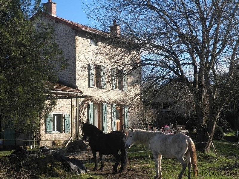 Character Detached House - 2