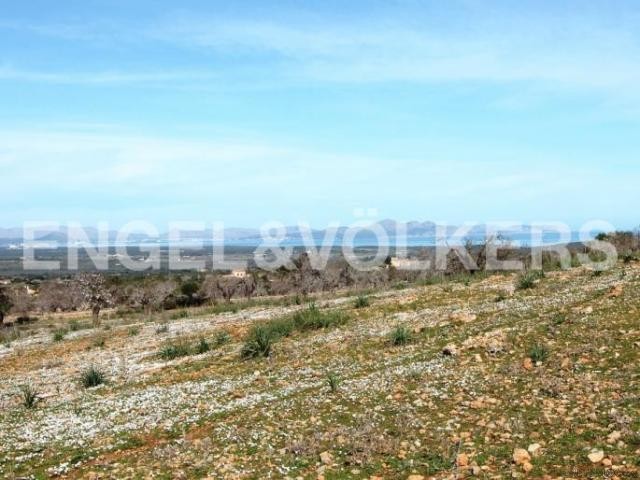 Piece of land in a great location with.. - 2