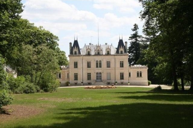 8 bedroom Castle For Sale: 86270 VIENNE