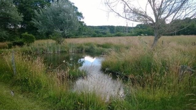 In the area of Sidiailles (great lake).. - 2