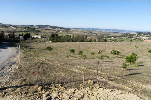 Building Plot Near Limoux