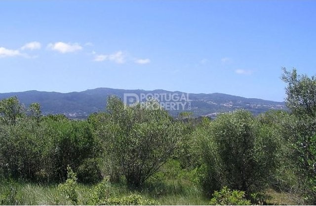 A Plot of Land in Great Location