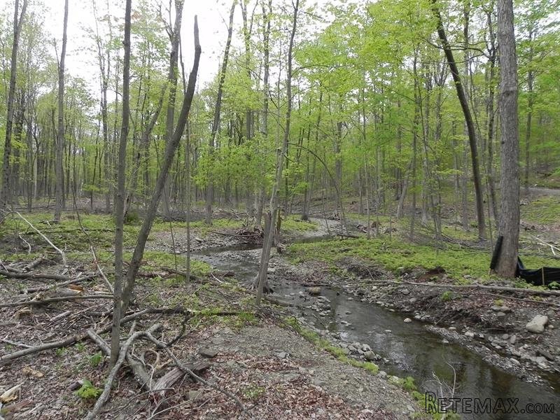 Land For Sale: Milan Hill Rd Red Hook..