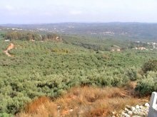 Buying Building Land In Crete - 2