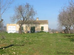 Finca near Santa Margarita, with..