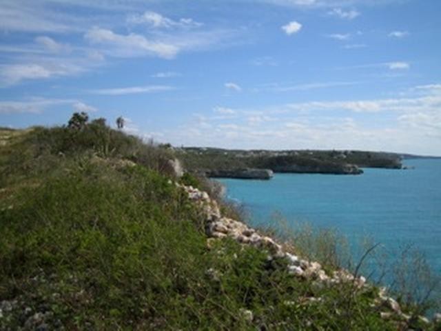 Singlefamilyvacant - Expansive 31 Acre.. - 2