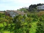 Plot, Alicante (Costa Blanca), Altea..