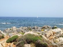 Invest On Land In Crete - 2