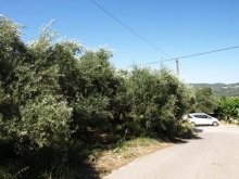 Land For Sale Crete - 2
