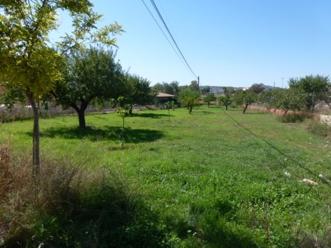 Villa in Hondon de los Frailes, Alicante - 2