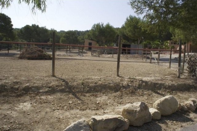 4 bedroom, 2 bathroom Finca / Country.. - 2