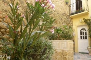 Renovated, Well Located Village House