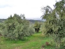 Crete Residential Land For Sale - 2