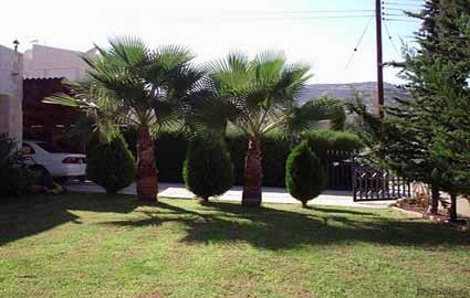 Limassol