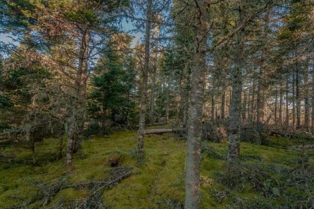 Land For Sale: Lot Marine Drive Marvins.. - 2