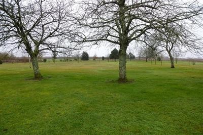 Site - 2