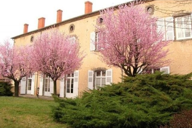 7 bedroom Character For Sale: 63000..
