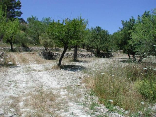 Beautiful plot in a privileged location..