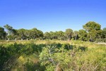 - Land - Illes Balears - For Sale