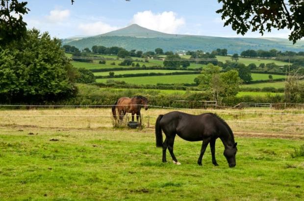 Little Llandeilo Farm, Llanddewi.. - 2