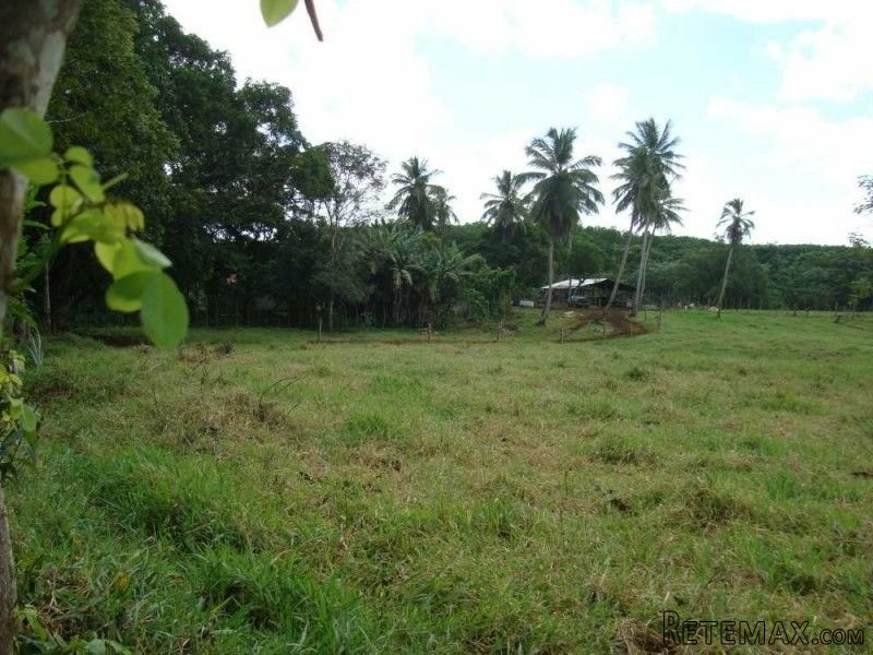 Cattle Farm Near Rio San Juan - Ideal..