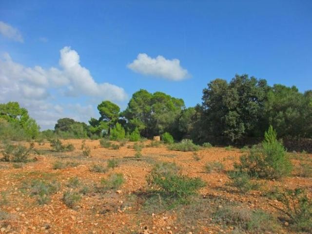 Large plot with perfect location in.. - 2