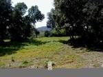 Real Estate, Mallorca, Plot of land.. - 2