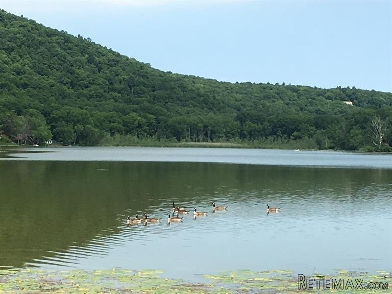 Land For Sale: Lake Rd Pine Plains NY.. - 2