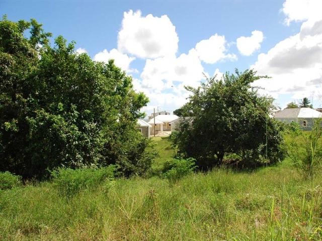 Property For Sale: Countryside Lot 30.. - 2