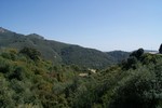 - Property - Malaga - For Sale