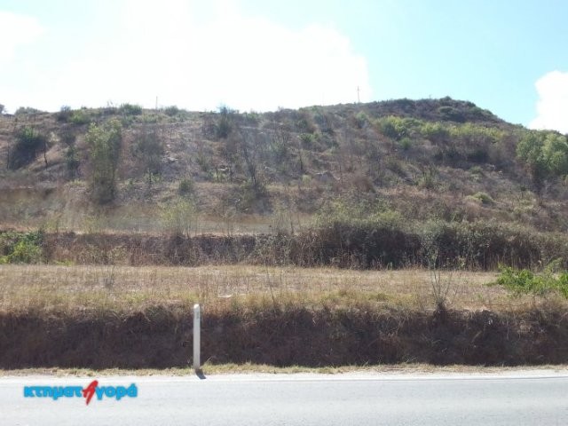 Agricultural Land in Akourdaleia, Pafos - 2