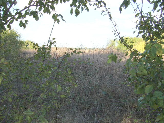 Land in Sokolovo, Balchik