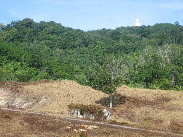 Chalong Hillside Land Plot on Big.. - 2