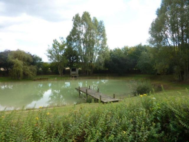 6 Hectares Property - Rare for the.. - 2