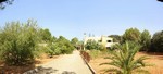 7 Bedrooms - Finca - For Sale - 2