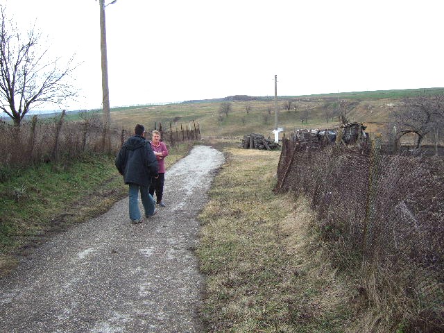 Land in Vedrina, Dobrich