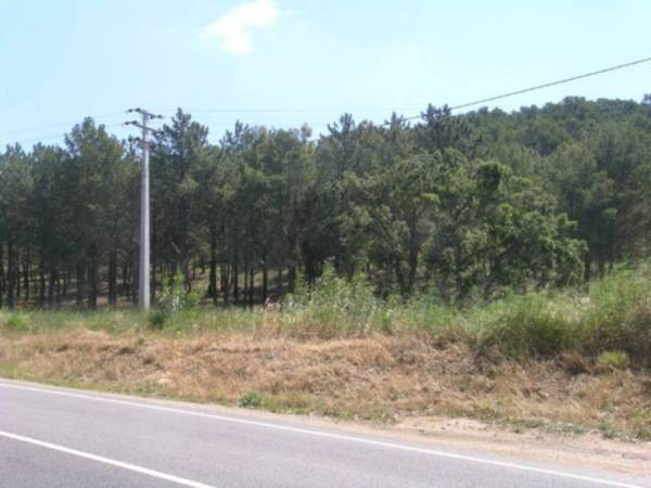 LARGE PIECE OF LAND IN BEGUR